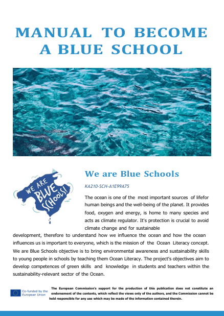 how to become a blue school