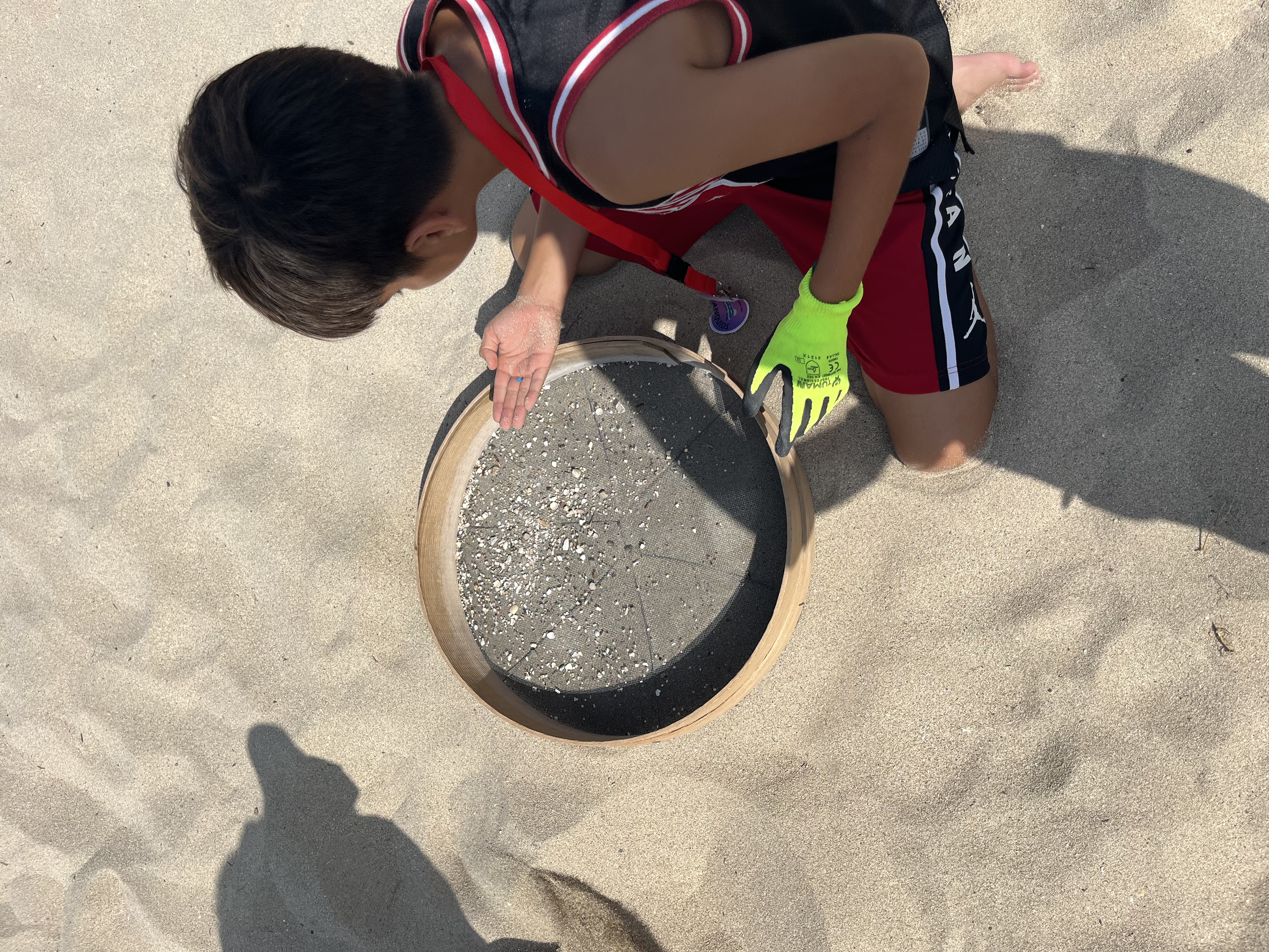 ocean conservation and sustainability