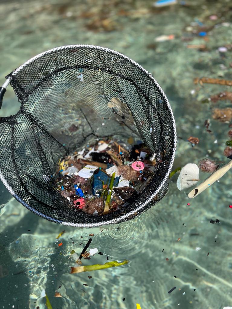 ocean conservation and sustainability