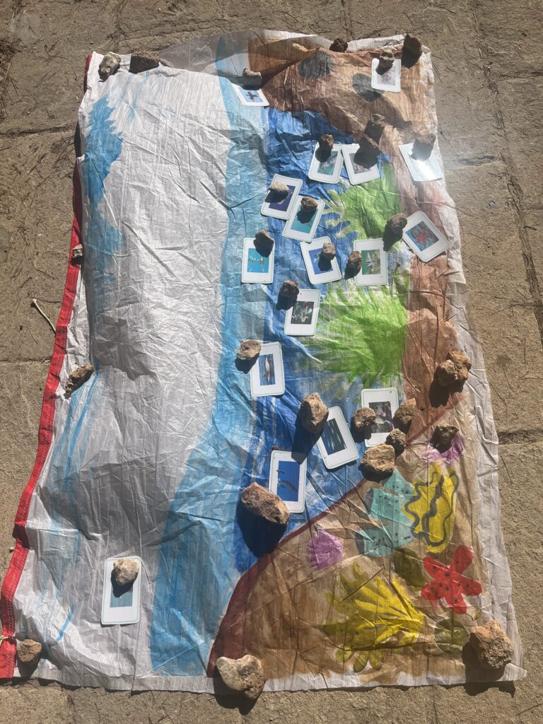 ocean conservation and sustainability